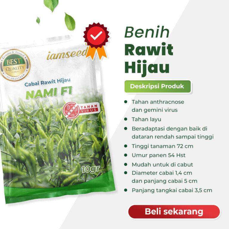 Nami F1 10gr | Cabai rawit hijau - PT. Indoseed Agri Makmur