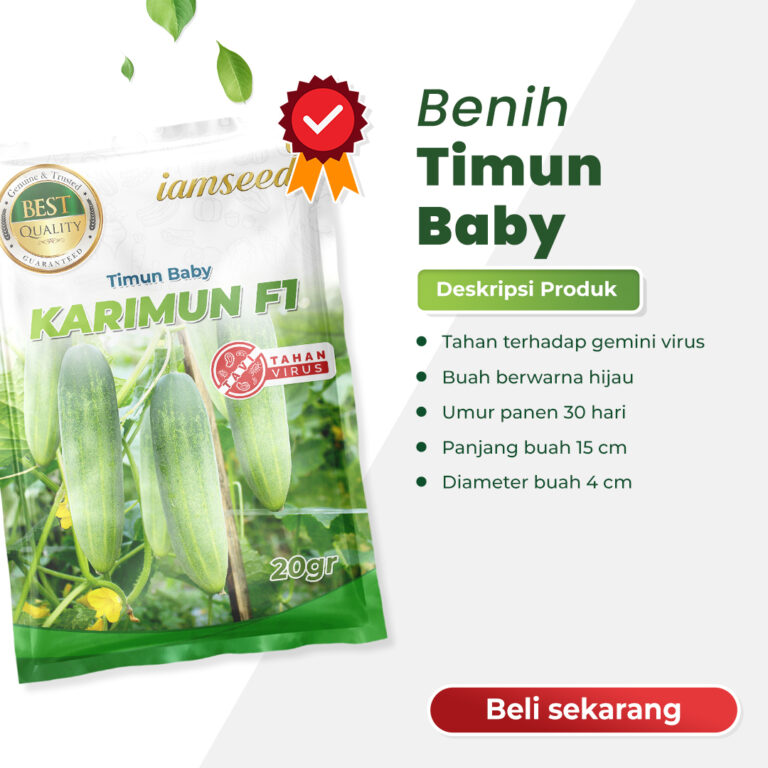 Karimun F1 20gr | Timun baby - PT. Indoseed Agri Makmur